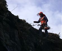 Vegetation clearance on rail cutting